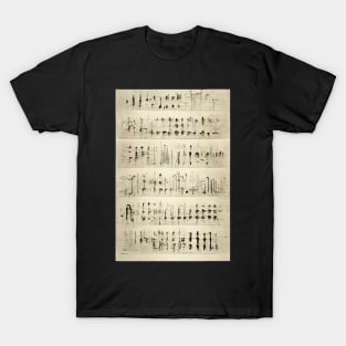 Musical Notes Pattern, perfect gift for all musicans and those who can't live without music #5 T-Shirt